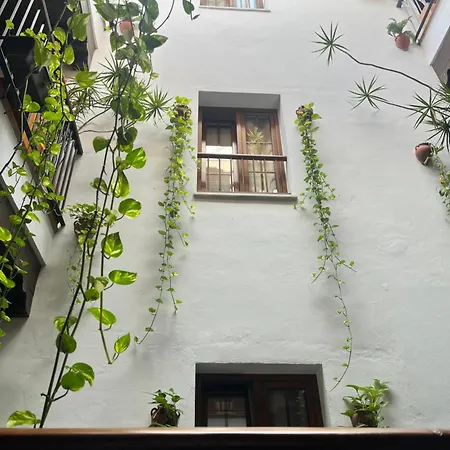 게스트하우스 Al-andalus *